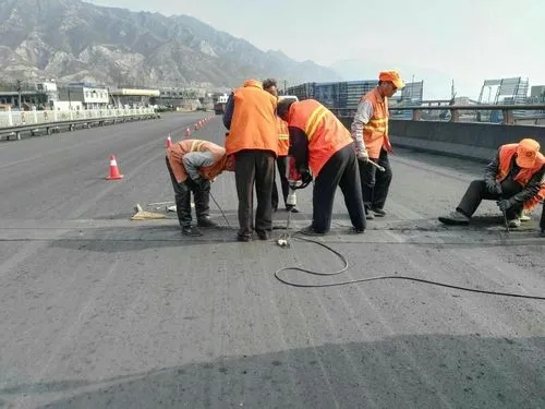 陈仓道路桥梁病害治理